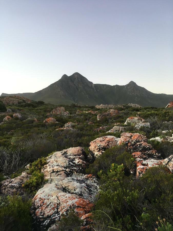 Appartamento Rondawel With Sea View Kleinmond Esterno foto